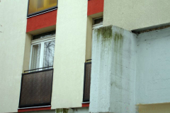 DSC03536