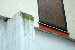 DSC03537