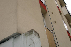 DSC03539