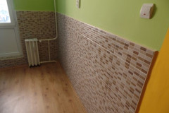 SAM_1463
