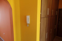 SAM_1498