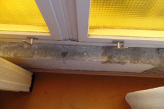 SAM_0868