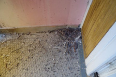 SAM_0880
