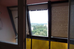 SAM_0881