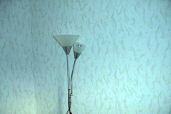DSC08526