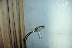 DSC08530