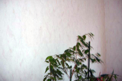 DSC08535