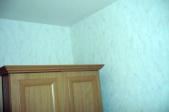 DSC08536