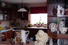DSC09905