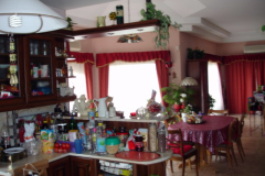 DSC09909