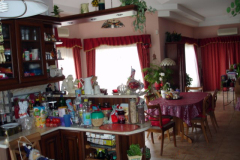 DSC09910