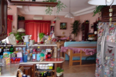 DSC09911
