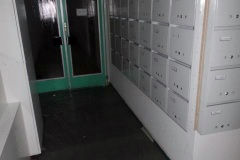 sam_1798