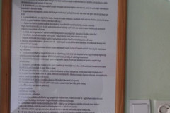 SAM_0996