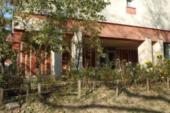 SAM_1317