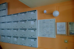 SAM_2718