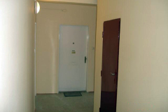 DSC02824