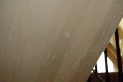 DSC06950