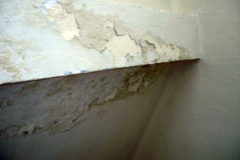 DSC07007