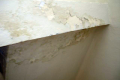 DSC07008
