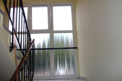 DSC07250