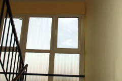 DSC07266