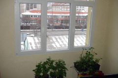 DSC03142