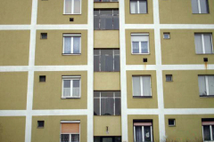 DSC1003