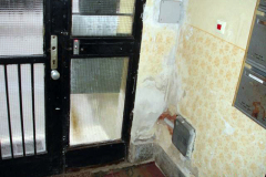 DSC1012