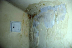 DSC1025