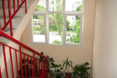 DSC03662