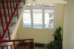DSC03131