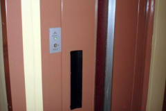 DSC07884