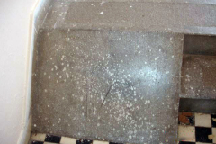 DSC07671
