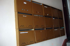 DSC07678