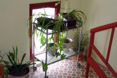 DSC07741